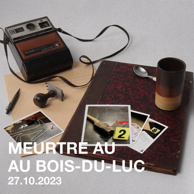MEURTRE AU BOIS-DU-LUC 2023